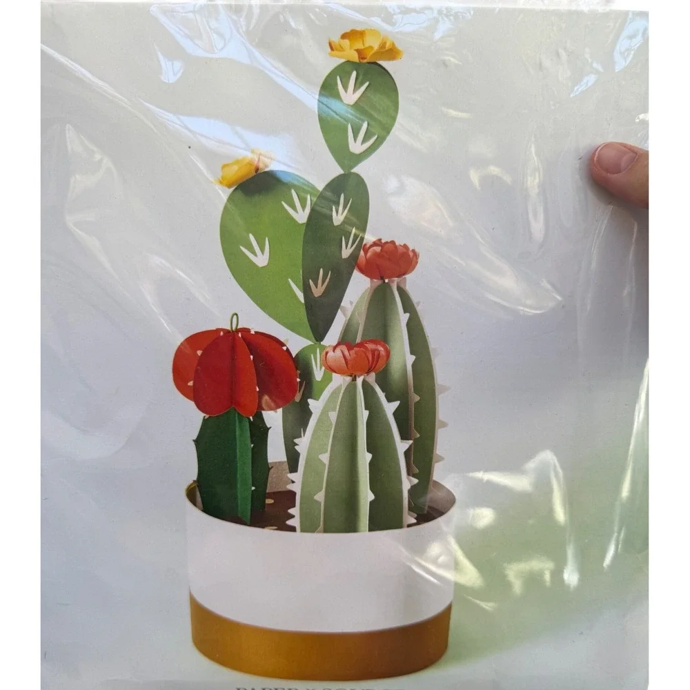 Paper Source Potted Cactus‎ Kit DIY Paper Craft 3D Succulent Decor CP59991691M
